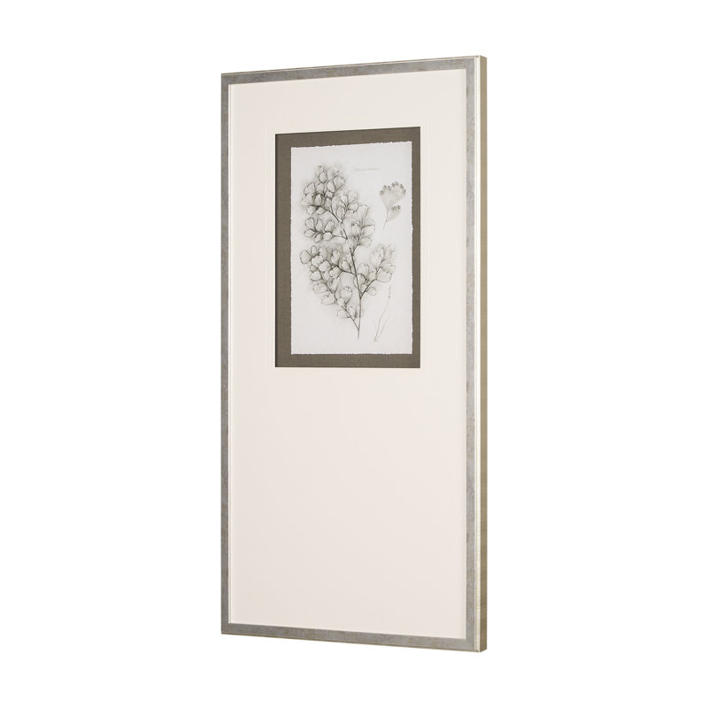 «Kingery Study III By Studio», reproduction d'art encadrée à la main avec passe-partout, 21.5L x 1.6W x 41.5H, Fern Study IV