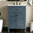 Bathroom Vanity with Sink, One Flip Drawer and Two Drawers-504187364