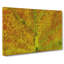 Veins Of The Leaf In Abstract - Wrapped Canvas-55302038