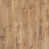 Ginger Oak 