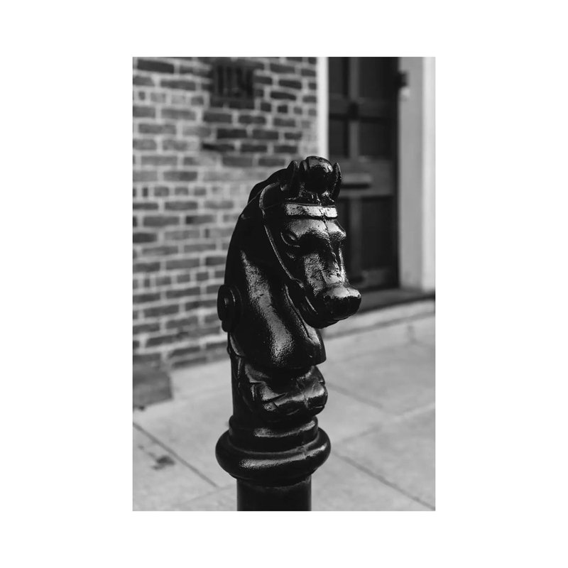 New Orleans Horse by Bethany Young - Print on Canvas, 66.04cm H x 45.72cm W x 3.81cm D, Wrapped Canvas