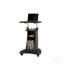 Chariot pour ordinateur portable à hauteur ajustable avec rangement Sit-To-Stand, graphite