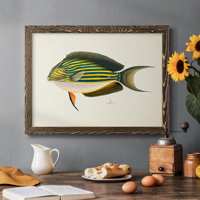 «Tropical Fish Collection I», reproduction sur toile