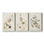 Pl. «194 Canadian Titmouse», ensemble de 3 impressions sur toile tendue-194814097