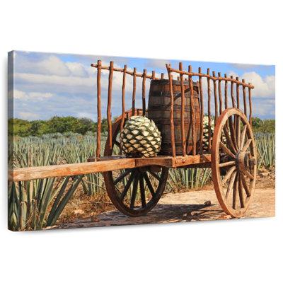 Mehar Mexican Agave Plant