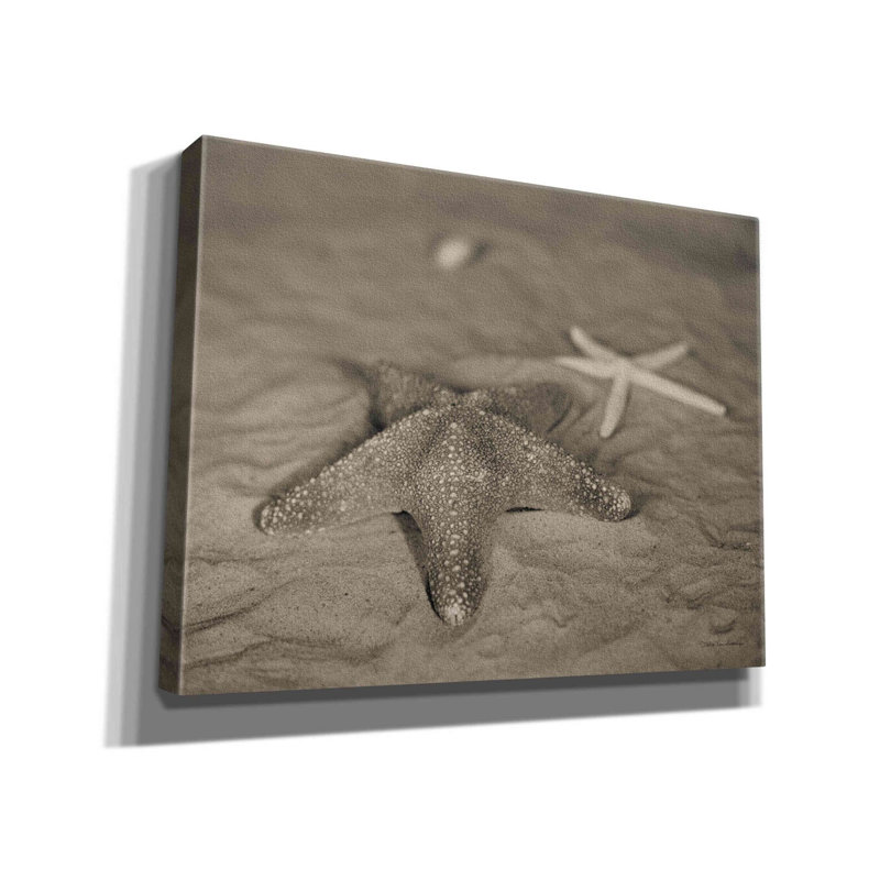 «Starfish II» par Debra Van Swearingen, art mural sur toile, H 26 po x l 34 po x P 1,5 po