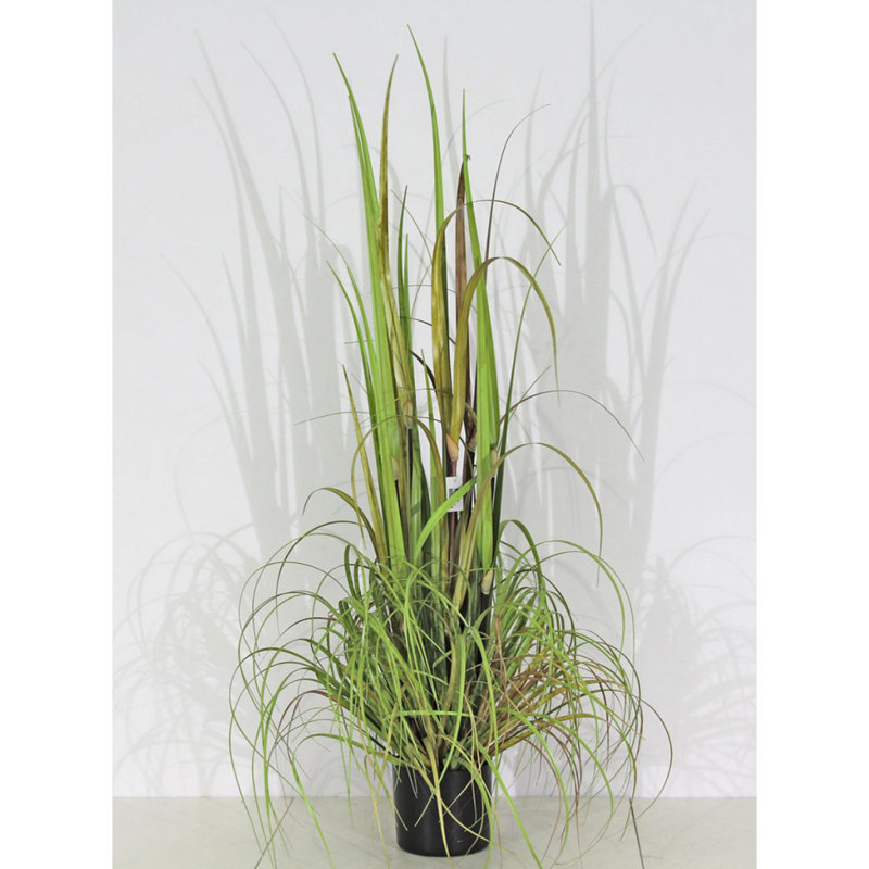 Velda Artificial Ornamental Grass Plastic, S