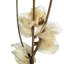 Arrangement floral Vickerman Cara Blossom