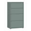 Rydar 54.8cm W 4 - Drawer Chest of Drawers-124889400
