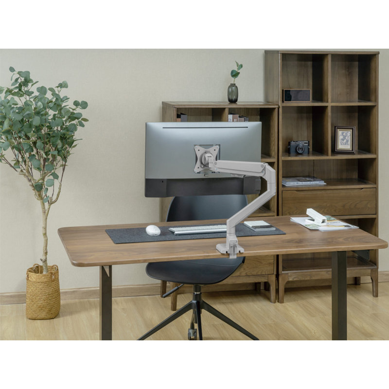 Bras de moniteur simple réglable, gris
