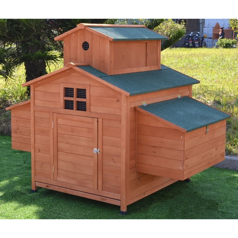 Analys 18 Square Feet Chicken Coop with Nesting Box For Up To 4 Chickens