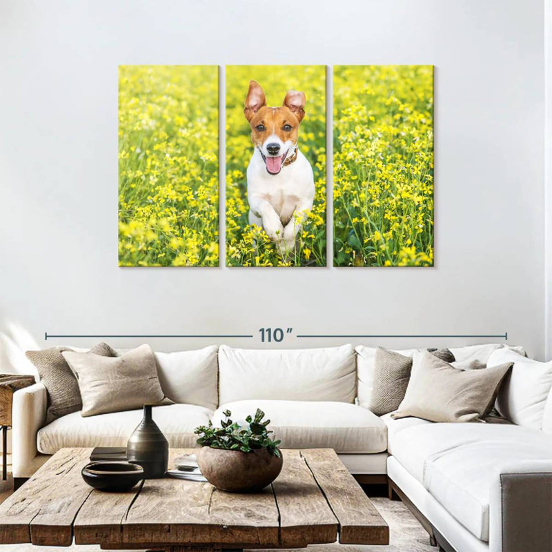 Brampt Happy Jack Russell, H 48 po x l 74 po