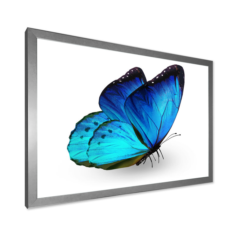 «Vibrant Blue Butterfly», reproduction sur toile, H 24 po x l 32 po x P 1,5 po, Toile avec cadre argenté