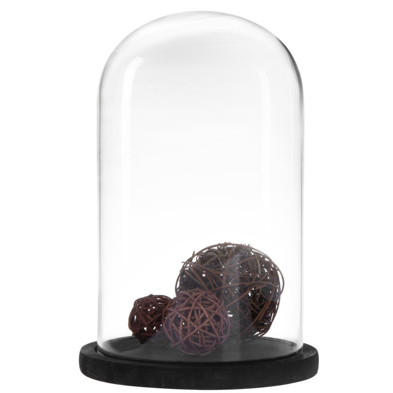 Jealinn Decorative Bell Jar Display Case