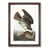 Walnut Framed selected