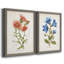 «Botanical I», ensemble de 2 reproductions d'art-271774453-271774482-271774487