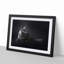 Maine Coon Kitten - Picture Frame Painting Print on MDF-55576771-55576769