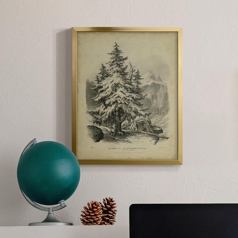 The Spruce - Toile encadrée de qualité supérieure - prête à être accrochée