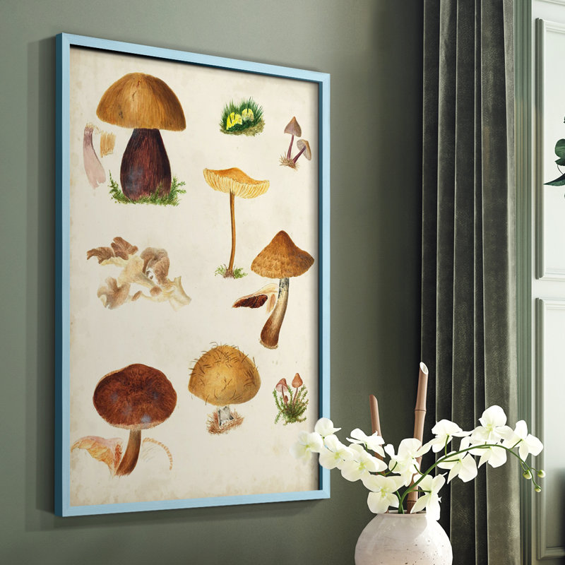 Reproduction encadrée champignon Mushroom Species II, Bleu, H 10 po x l 8 po