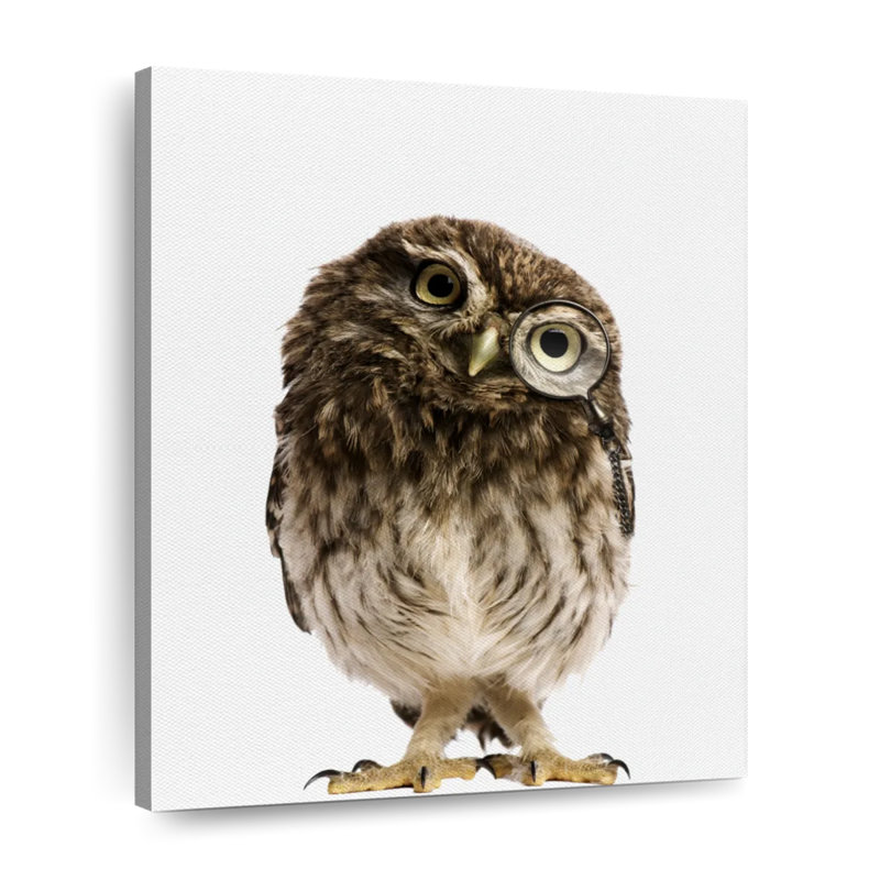 Curious Owl, H 10 po x l 8 po x P 1 po
