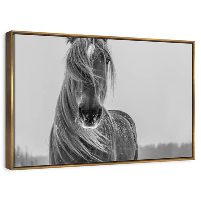 Winter Horse