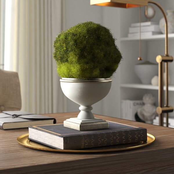 Norwood 9'' Faux Moss Plant in Fiberstone Pot