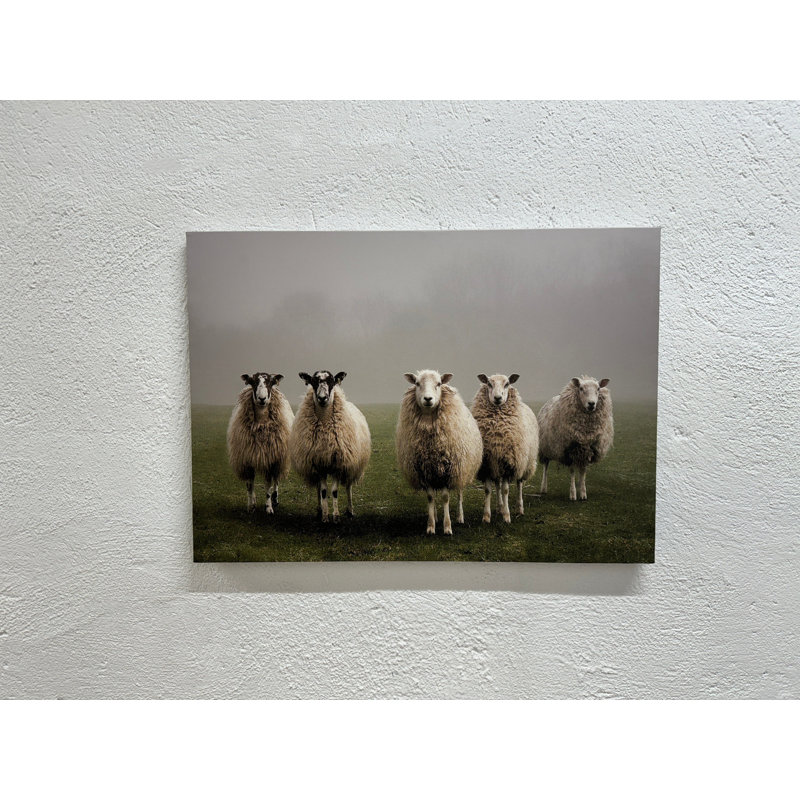 Toile imprimée: Élégant mouton, art mural - décor de maison de campagne, toile de fond noire 1P, 59,1 po H x 82,7 po l