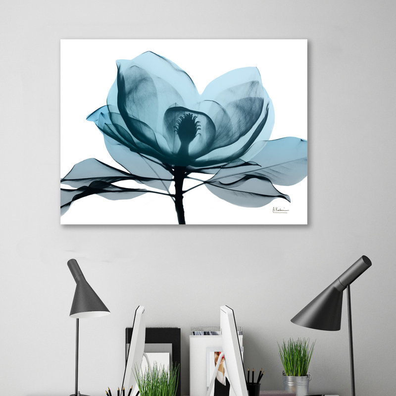 Midnight Magnolia 2 - Wrapped Canvas Print, 30 cm H x 41 cm W