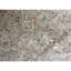 Bikaner Hand Woven Wool Oriental Area Rug