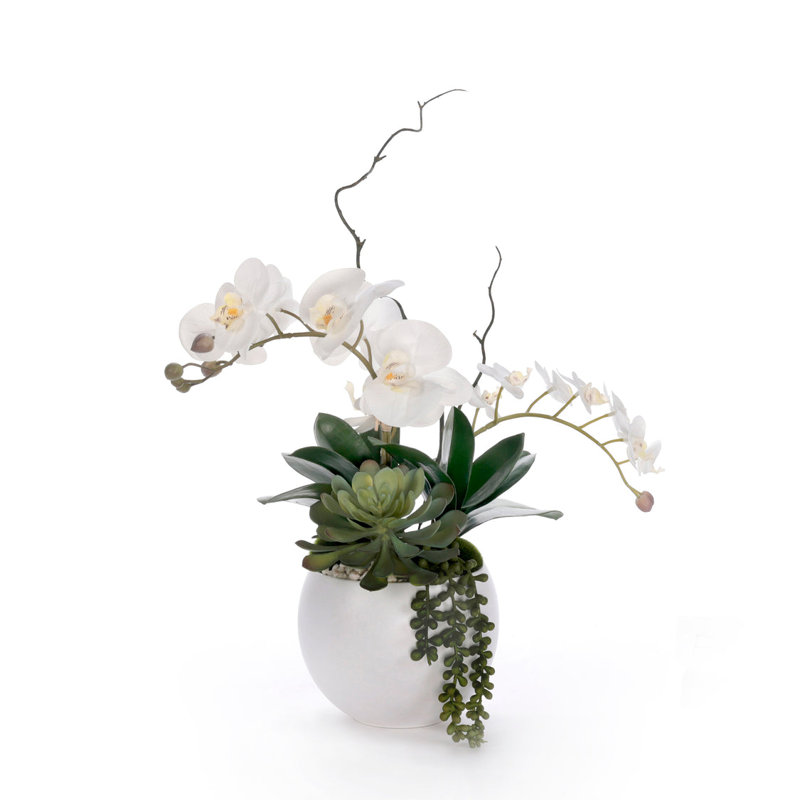 Arrangement en pot
