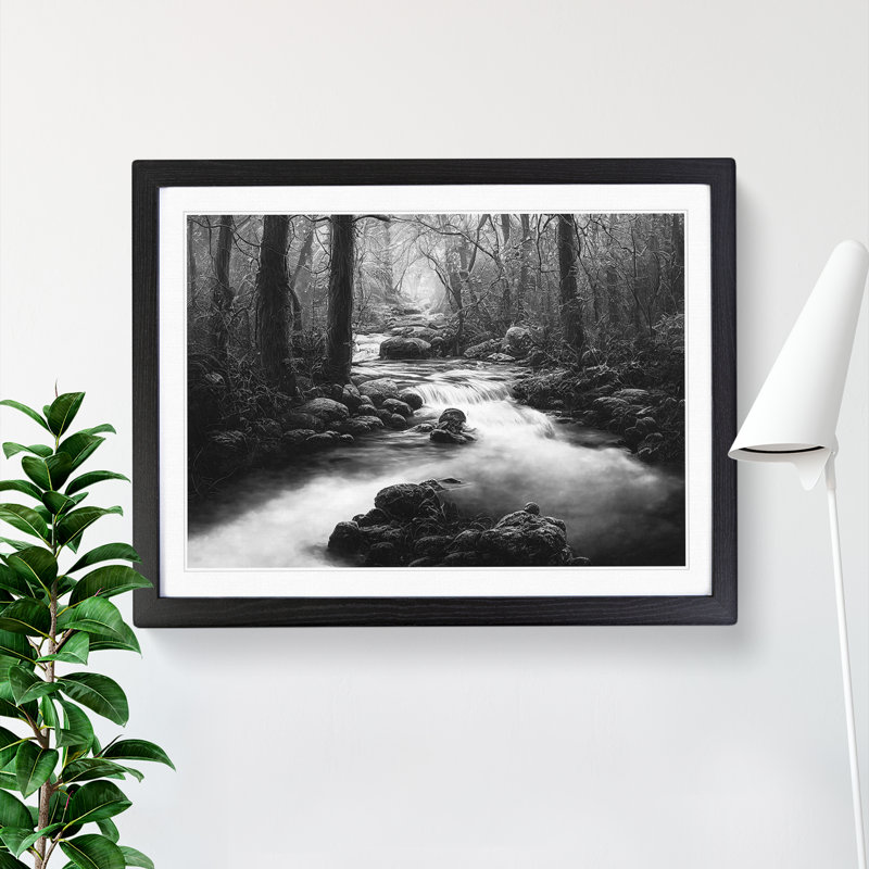 Forest Stream - Framed Print, Black Framed, 46cm H x 64cm W
