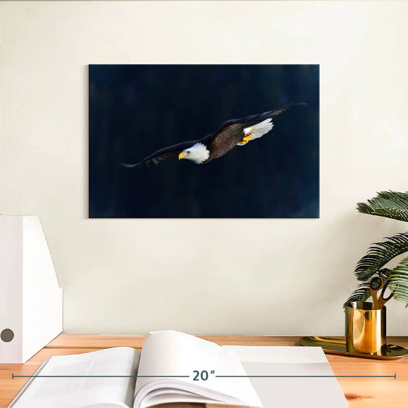 Brampt Aerodynamic Eagle, 8" H x 12" W