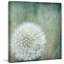 Sharon Kalstek - Wrapped Canvas Print-20661404