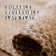 Damaj Braided Non-Shedding Premium Jute Brown/Cream Rug