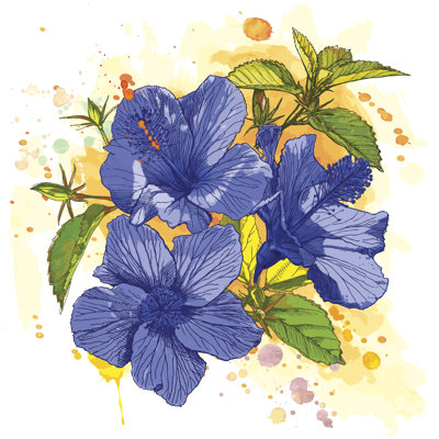 Aaliyha Hibiscus by Vladimir - Wrapped Canvas Painting