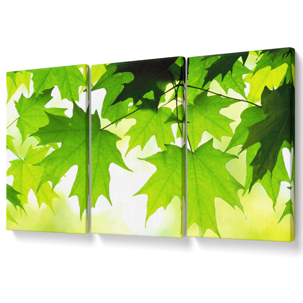 Ebern Designs Summer Leaves - 3 Piece Wrapped Canvas Art Prints ...
