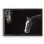 «Cowboy Scratchboard III» - Cadre photo, impression sur toile-1407957941-1407957938