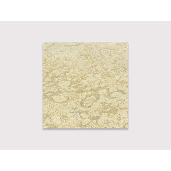 Pearl Zeno 16" x 16"