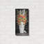 «No. 4 Fall Flowers And Birch 2» par Cindy Jacobs-63684690