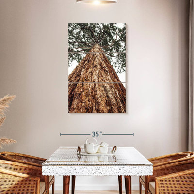 Harnek Sierra Redwood