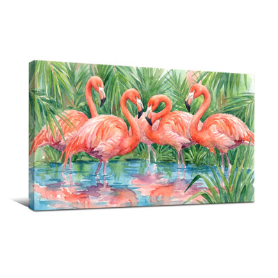 Animals Flamingos In Tropical Water Reflections