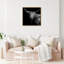 Realistic Black And White Highland Cow Photography Print by Oliver Gal-69850861-69850862
