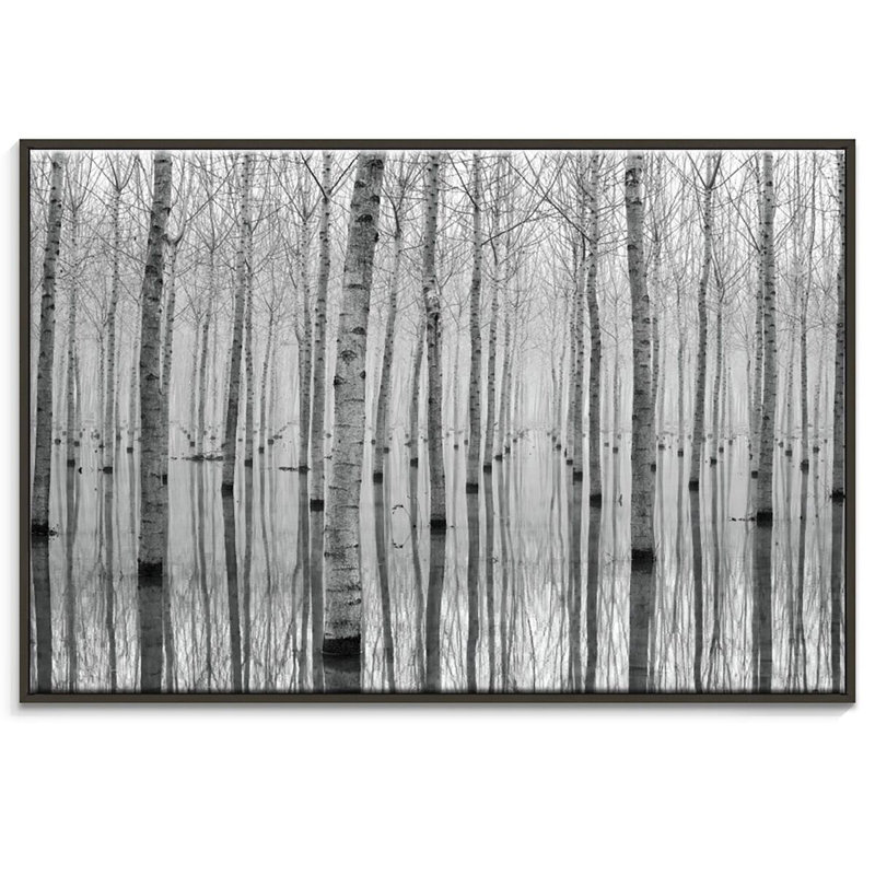 Print on Canvas, 51cm H x 76cm W x 4cm D, Black Floater Frame