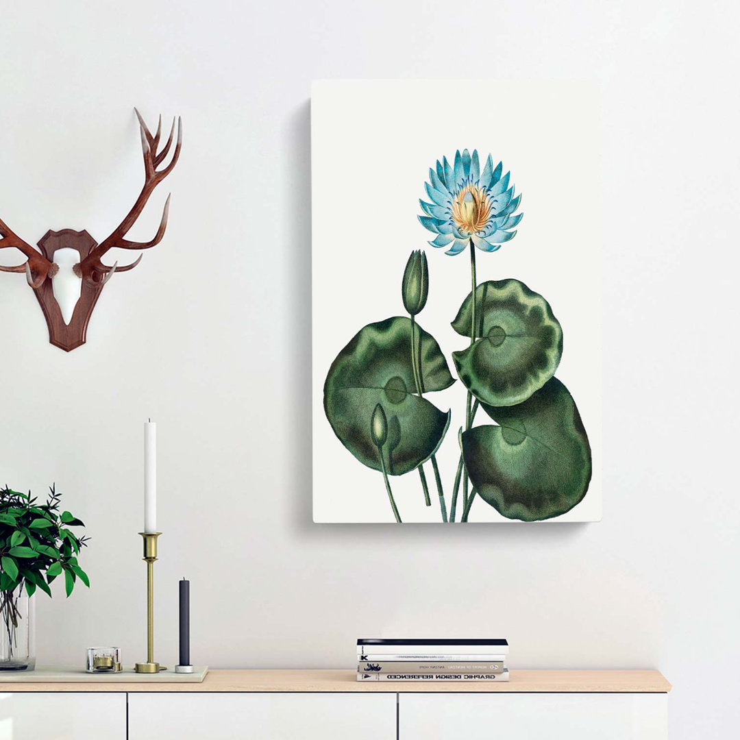A Blue Egyptian Water Lily by R.J. Thornton - Wrapped Canvas