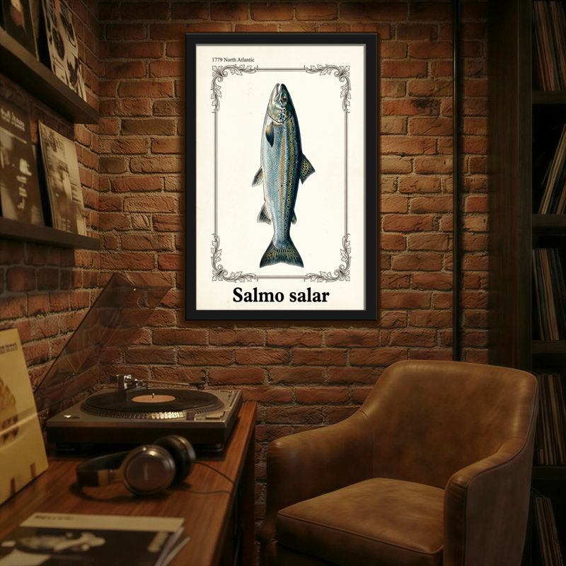 Animaux Salmo Salar, H 30 po x l 20 po