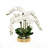 Orchid Arrangement in Pot