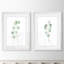 «Soft Eucalyptus Branch III» par Vincent Van Gogh - ensemble de 2 reproductions d'art encadrées-1994144008-1994130588-1994144012