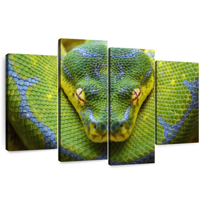 Brampt Fierce Green Tree Python