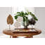 3 Piece Shell Sculpture Set