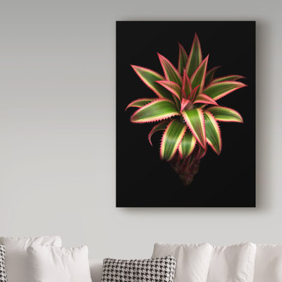 «Pineapple» par Dosta, impression sur toile tendue